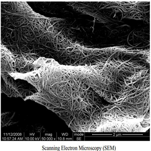 2-5 layers graphene oxide