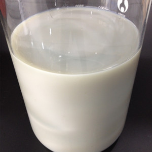 银离子线(直径:30nm 长度:20um)