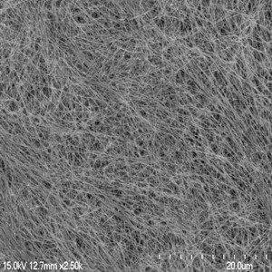 银离子线(直径:30nm 长度:20um)