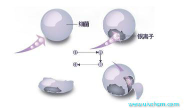 宇瑞（上海）化学有限公司