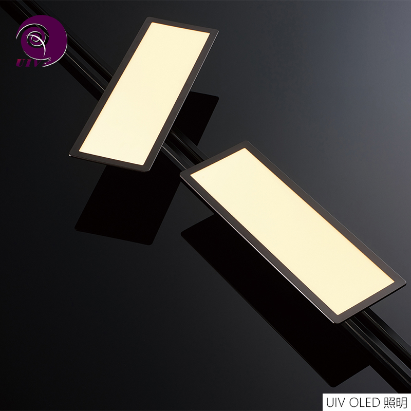 OLED 轨道照明吊灯