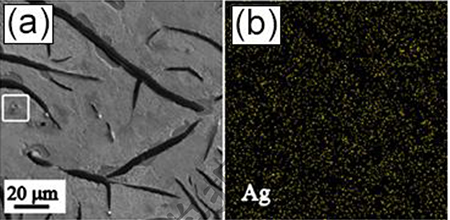 Ag合金化灰口铸铁的Ag成分图谱
