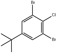 3,5-二溴-4-氯叔丁基苯_CAS:1000578-25-5